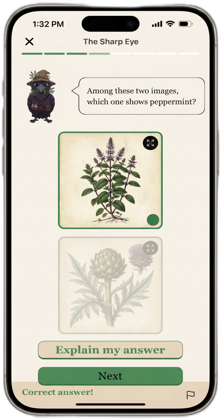 Écran de quiz interactif Vervain