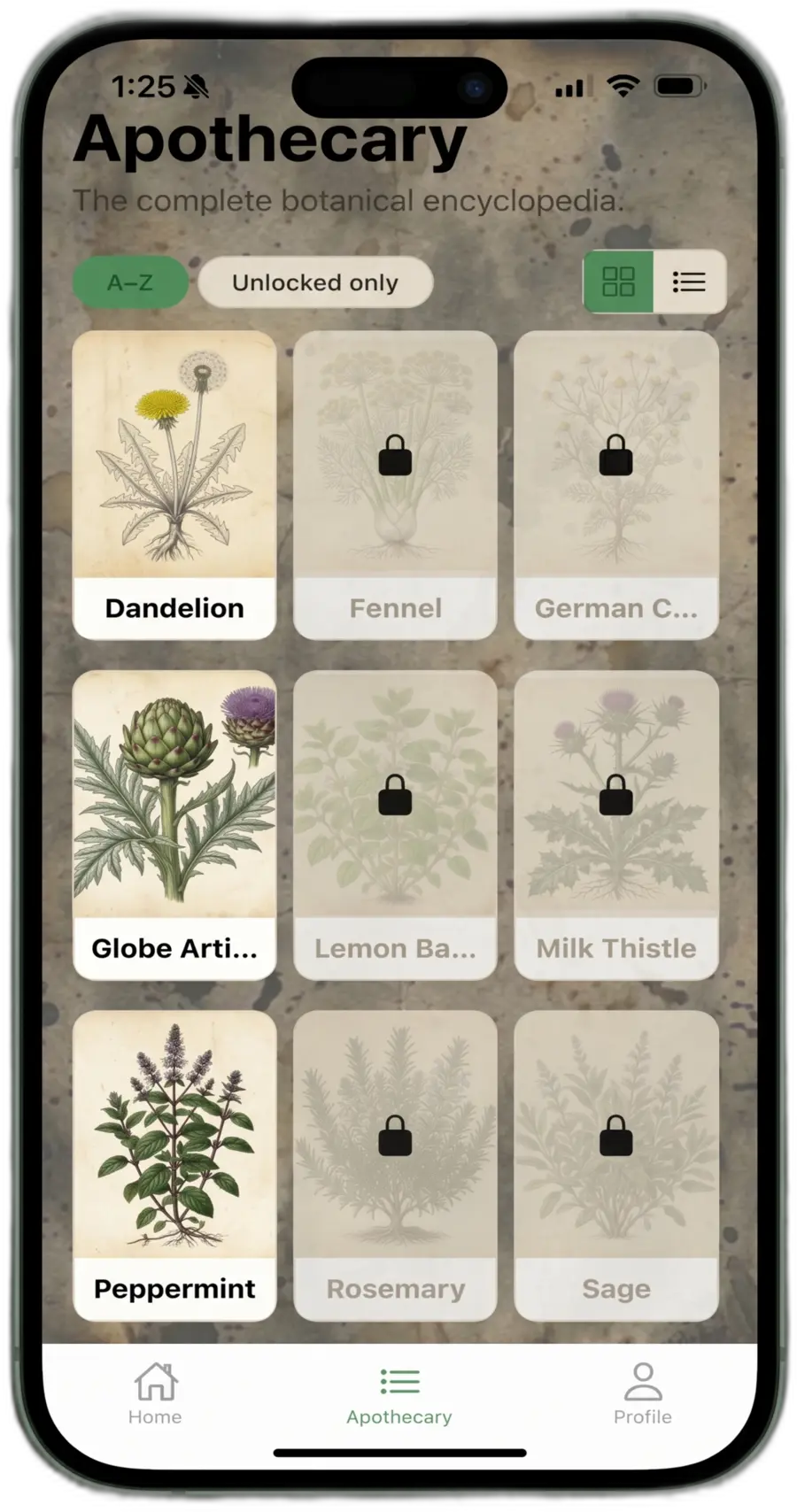 Écran d’identification des plantes Vervain